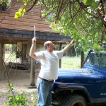 Trimming trees so I can drive up to the house